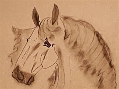 Koníčci pro štěstí