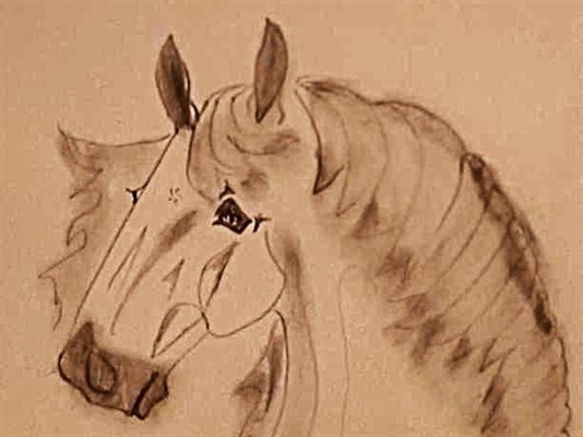 Koníčci pro štěstí