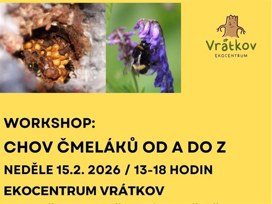 Chov čmeláků od A do Z