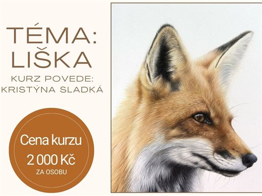 Kurz Pastelkování pro dospělé II.