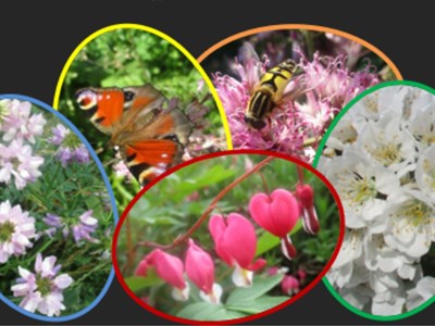 Velikonoční dílničky a jarmark