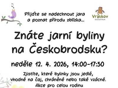 Znáte jarní byliny na Českobrodsku?