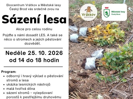 Sázení lesa